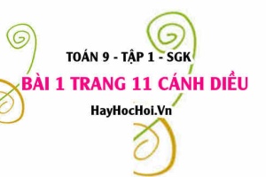 Bài 1 trang 11 Toán 9 tập 1 Cánh Diều